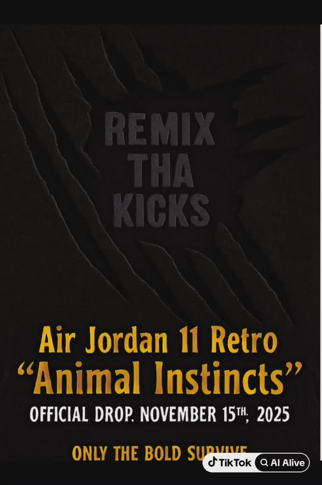 Retro Jordan 11 animal instincts